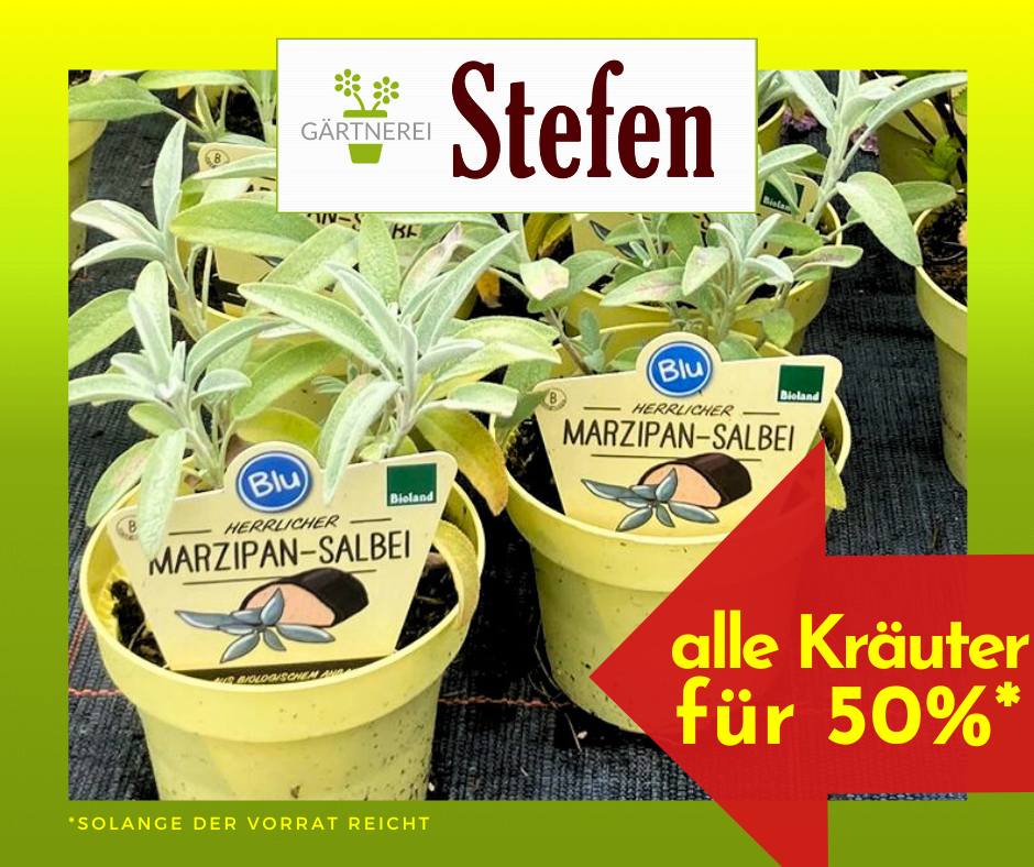 Kräuter im Angebot bei Stefen